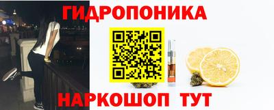 гашик Кунгур