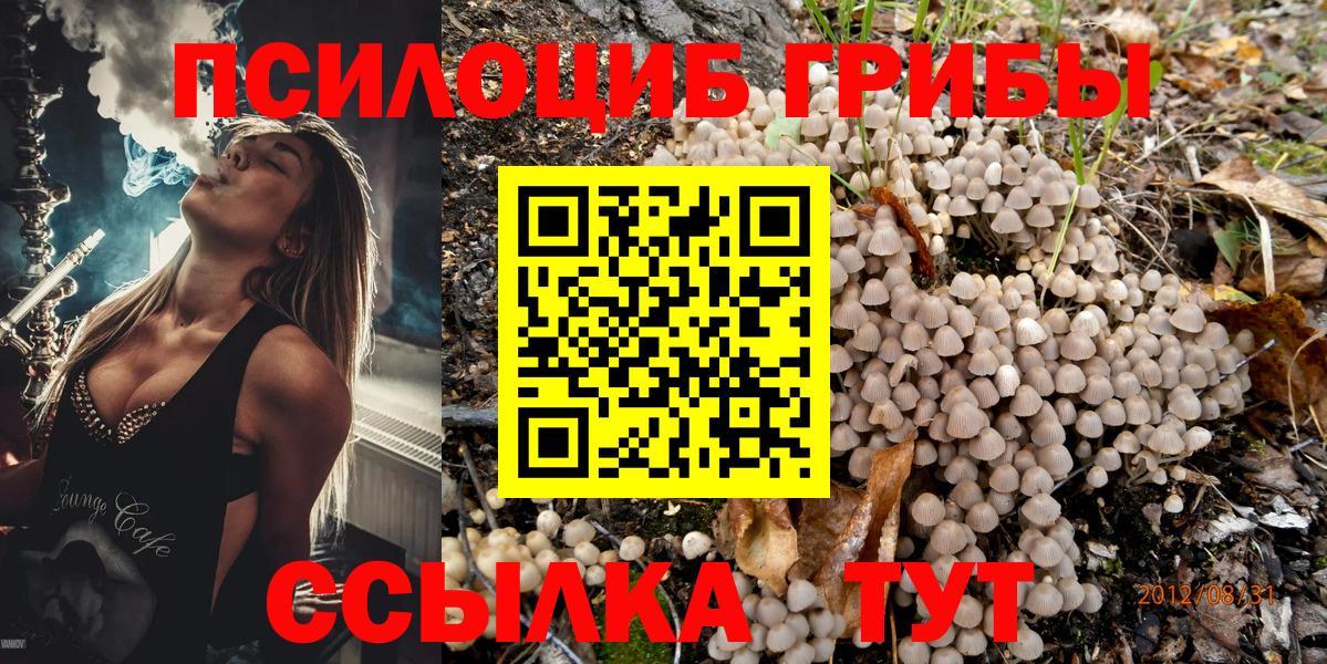Псилоцибиновые грибы прущие грибы Донской